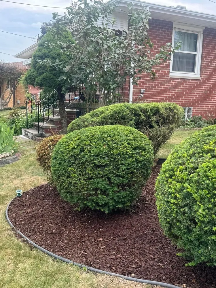 Affordable yard cleanup service experts serving Rock Creek, OH - Green Machine Landscape And Design