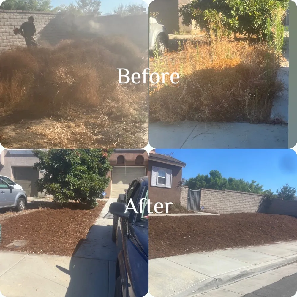 Top-rated landscaping services experts serving Hemet, CA - Green Machine Landscaping Maintenance