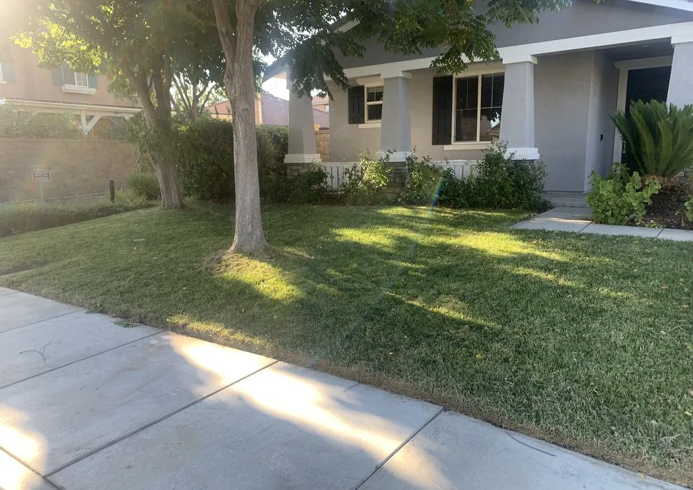 Affordable landscape design for beautiful yards across Hemet, CA - Green Machine Landscaping Maintenance