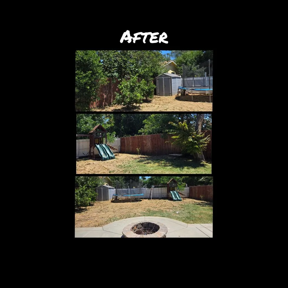 Top-rated landscaping services in Hemet, CA - Green Machine Landscaping Maintenance