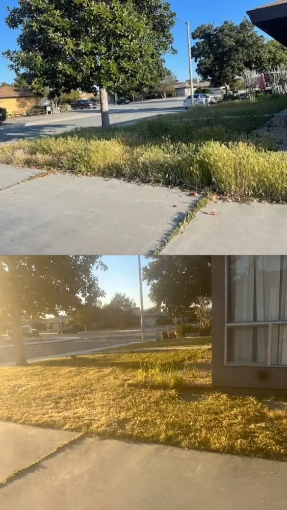 Reliable yard cleanup service in Hemet, CA - Green Machine Landscaping Maintenance