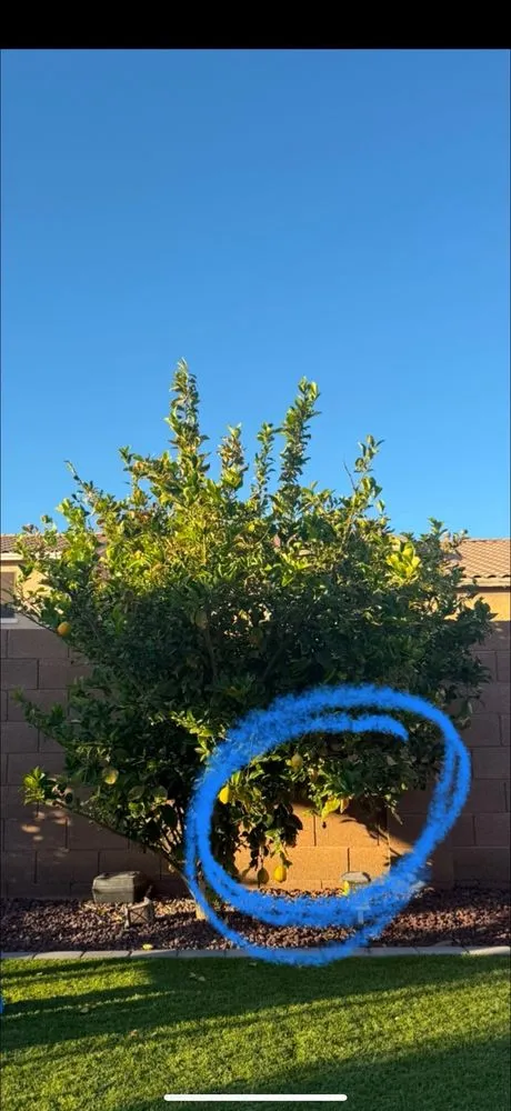 Reliable residential landscaping in Maricopa, AZ - Green Machine Landscaping