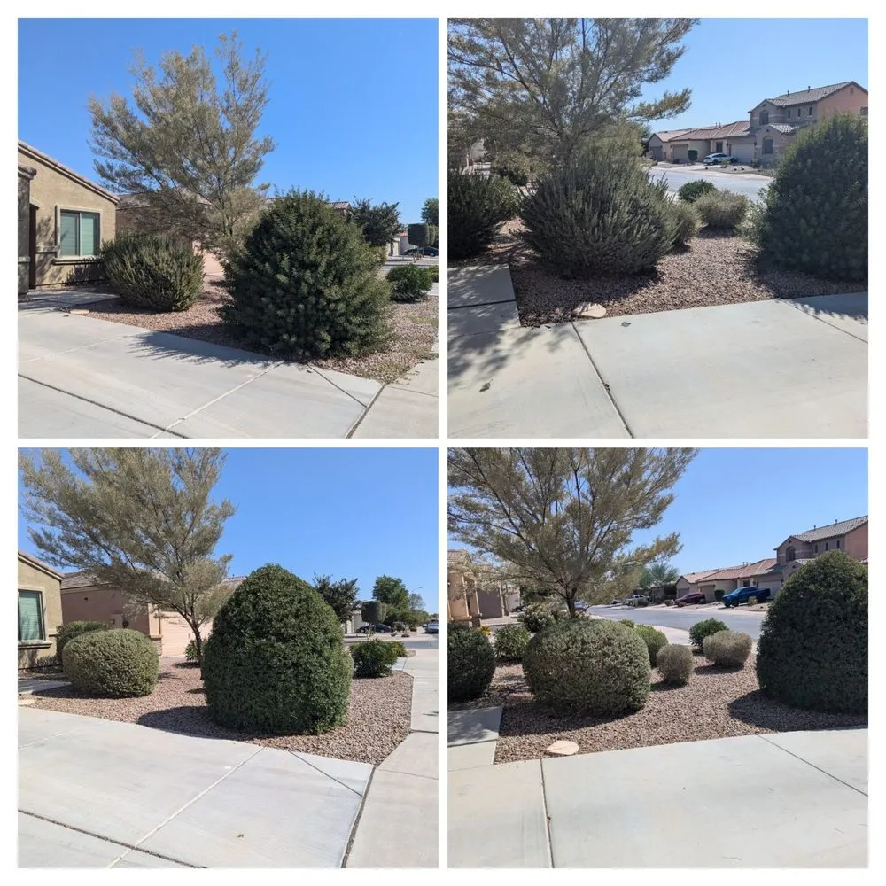 Professional residential landscaping in Maricopa, AZ - Green Machine Landscaping
