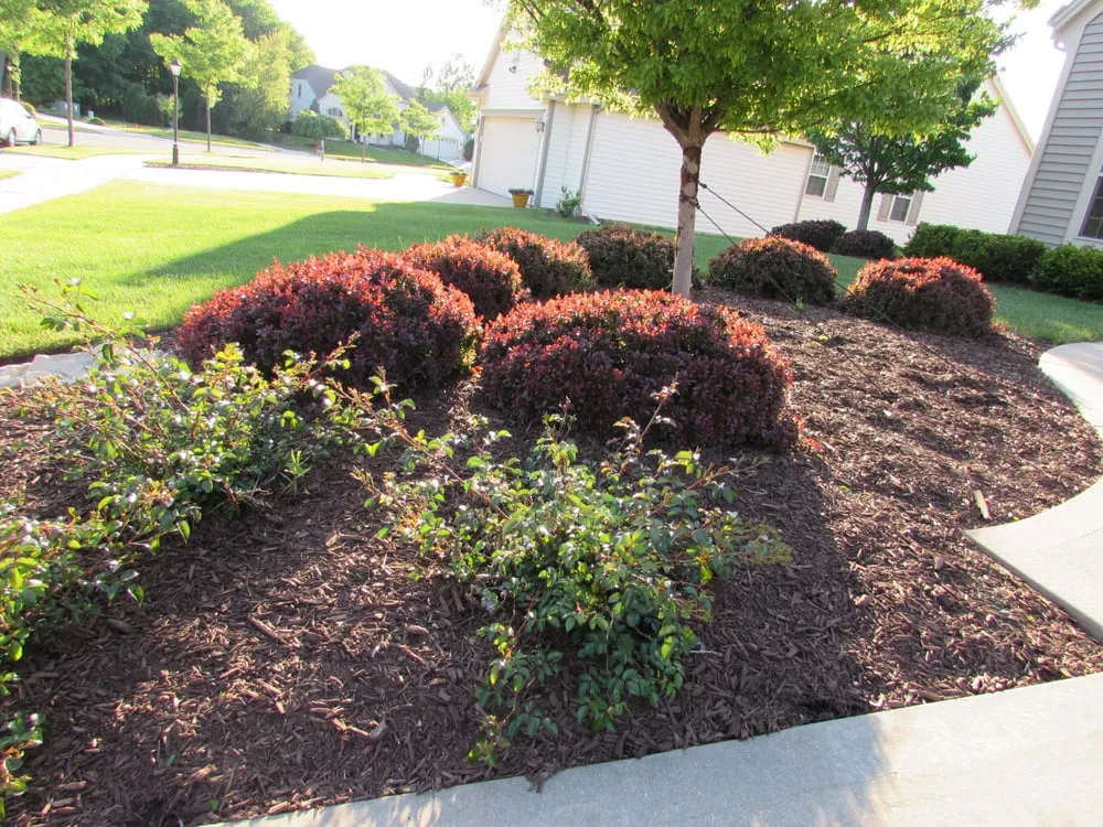 Professional garden landscaping in New Berlin, WI by Green Machine Landscaping