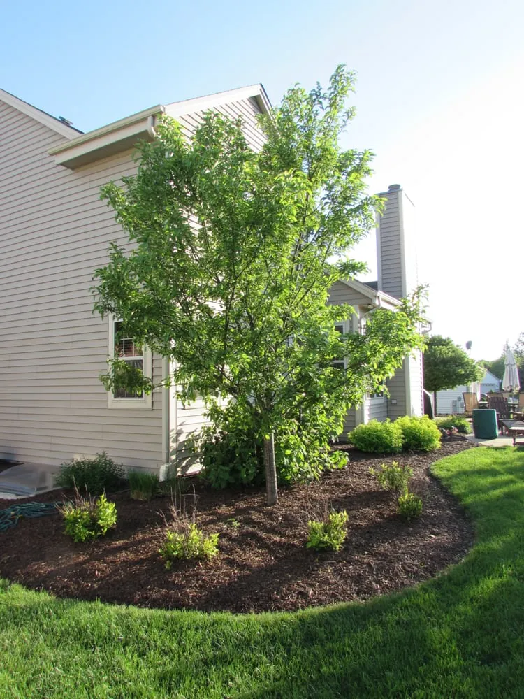 Reliable lawn care service in New Berlin, WI by Green Machine Landscaping