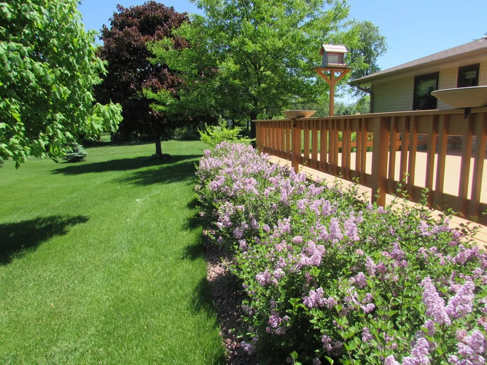 Professional landscaping services experts serving New Berlin, WI - Green Machine Landscaping