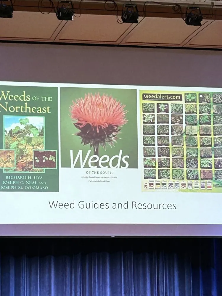 Custom outdoor landscaping for outdoor upgrades in Akron, OH by Green machine Lawn Care and Mosquito Spray