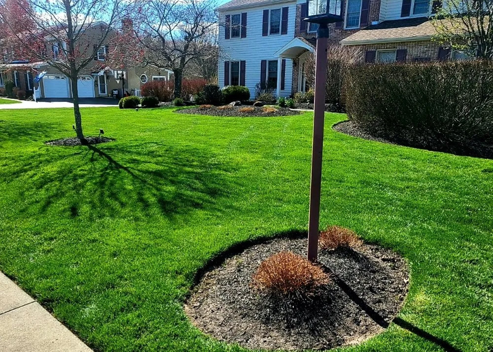 Local yard cleanup service for beautiful yards across Kingston, PA - Green Machine Lawn Care