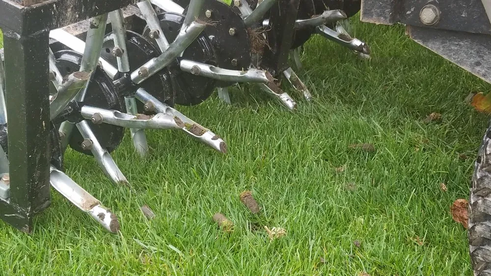 Local yard cleanup service in Kingston, PA - Green Machine Lawn Care