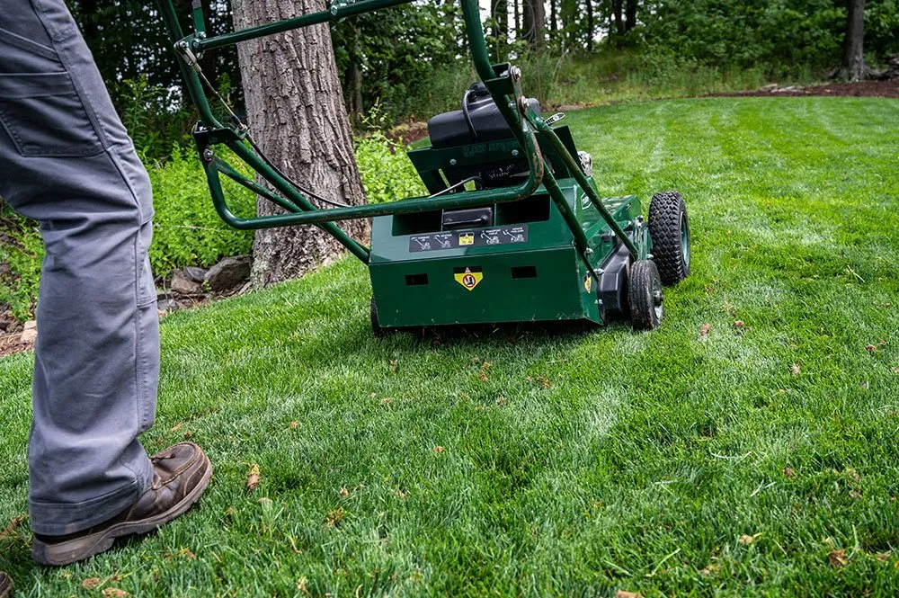 Local landscaping services in Kingston, PA by Green Machine Lawn Care