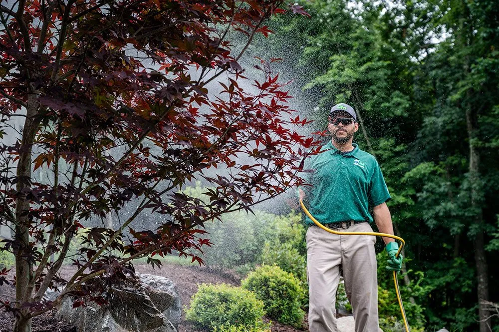 Reliable landscape installation in Kingston, PA by Green Machine Lawn Care