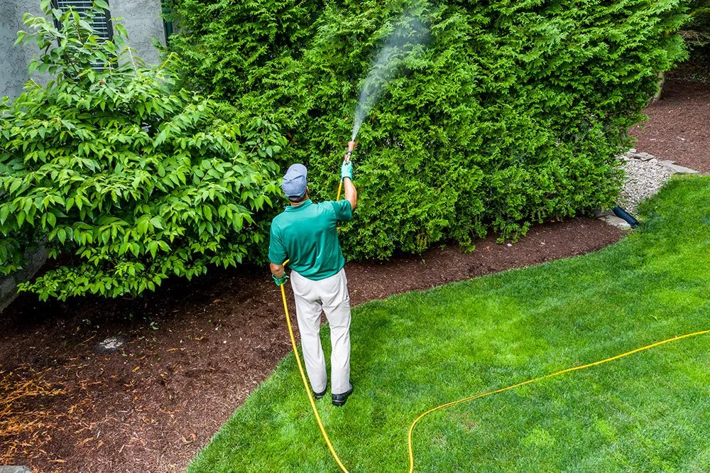 Trusted landscaping services for beautiful yards across Kingston, PA - Green Machine Lawn Care