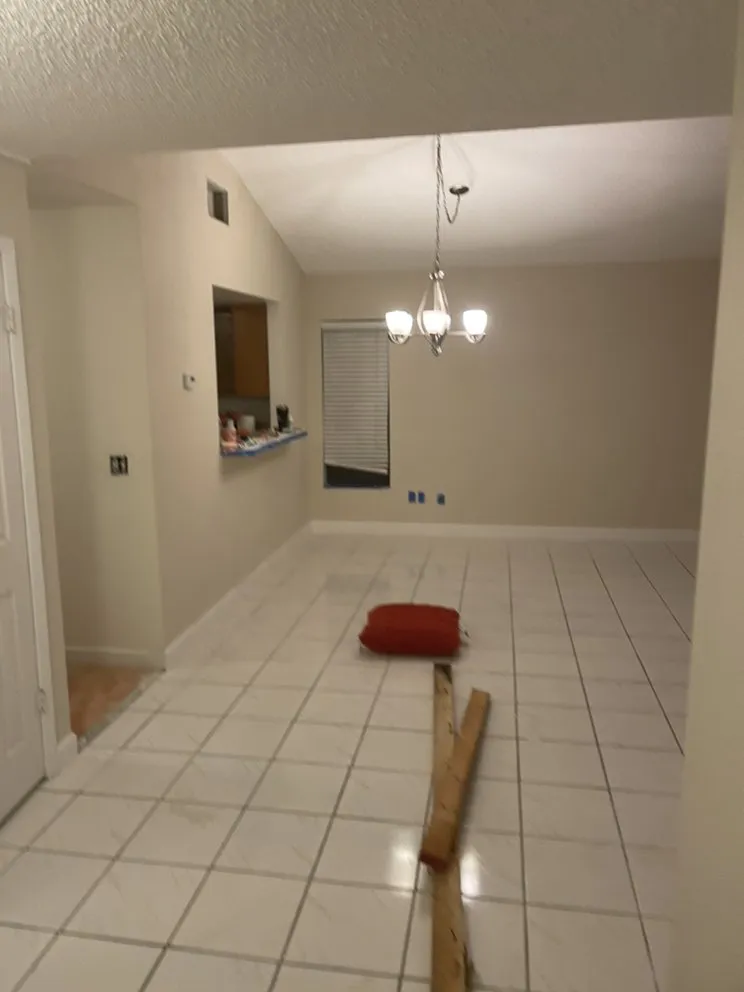 Local yard cleanup service for year-round maintenance across Kissimmee, FL - Green Machine Lawn Care