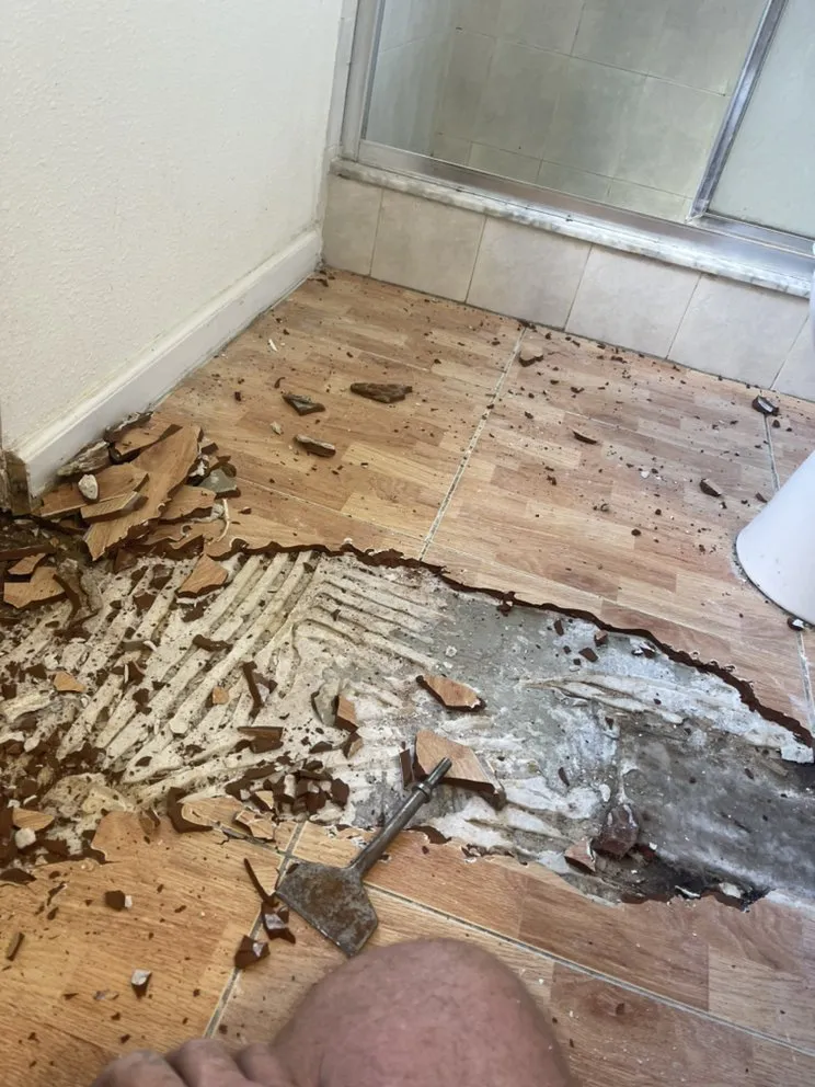 Affordable garden landscaping with custom design across Kissimmee, FL - Green Machine Lawn Care