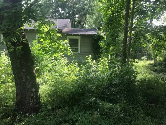 Green Machine Lawn Care Service