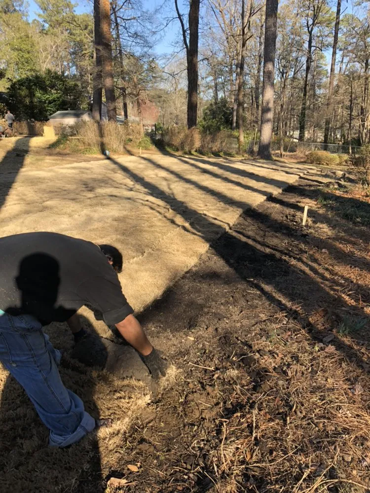 Expert lawn care service near you in Raleigh, NC by Green Machine