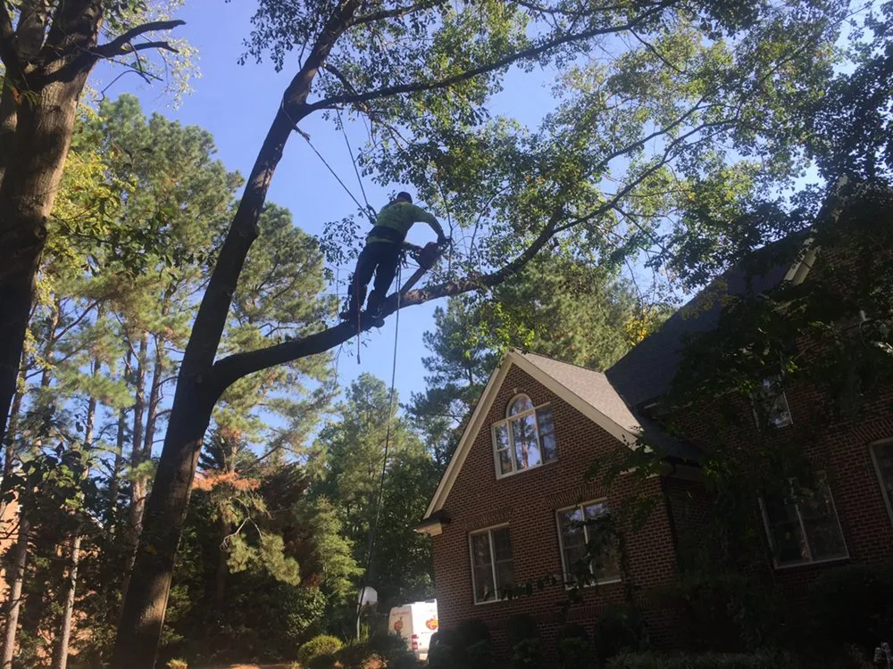 Professional landscape installation for outdoor upgrades in Raleigh, NC by Green Machine