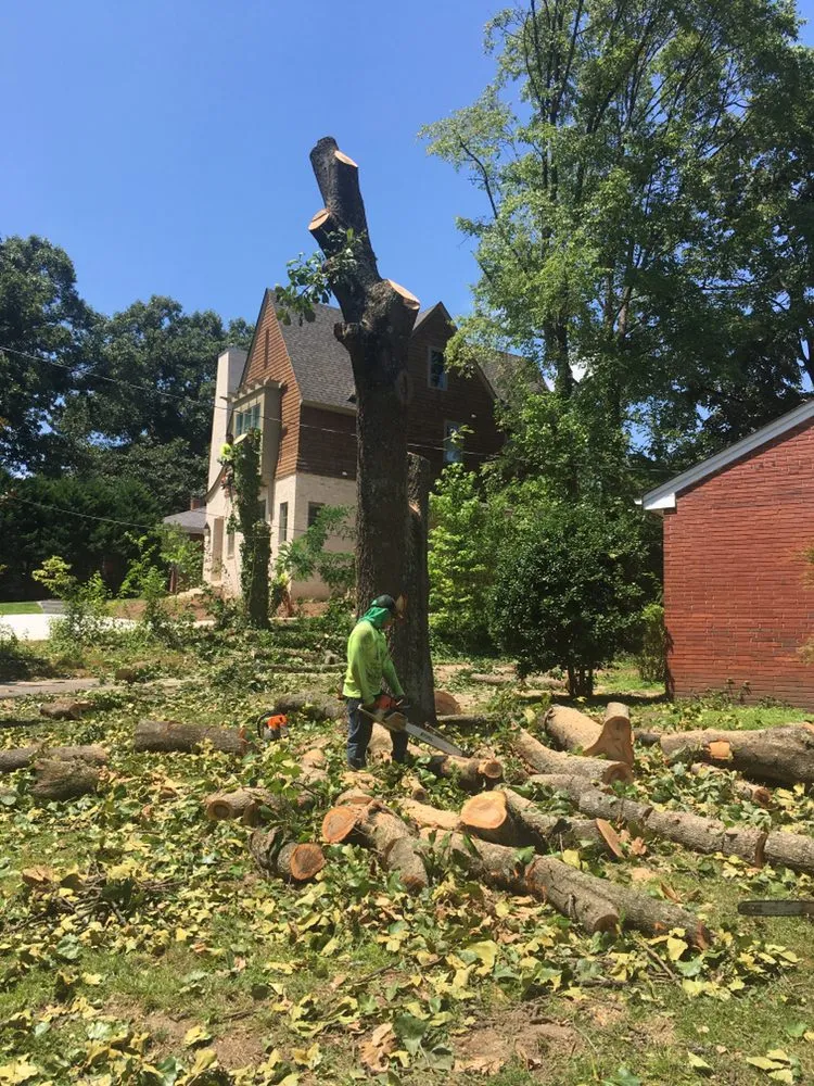 Local garden landscaping near you across Raleigh, NC - Green Machine