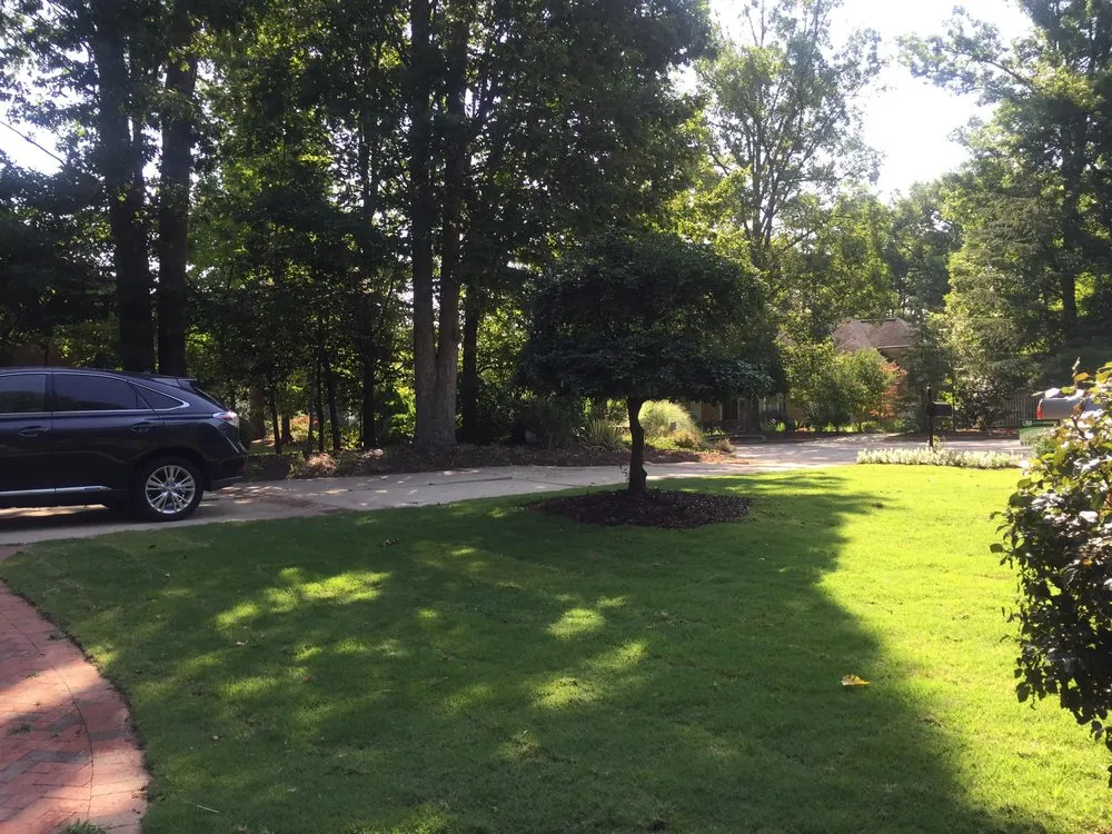 Trusted lawn care service for residential properties in Raleigh, NC by Green Machine