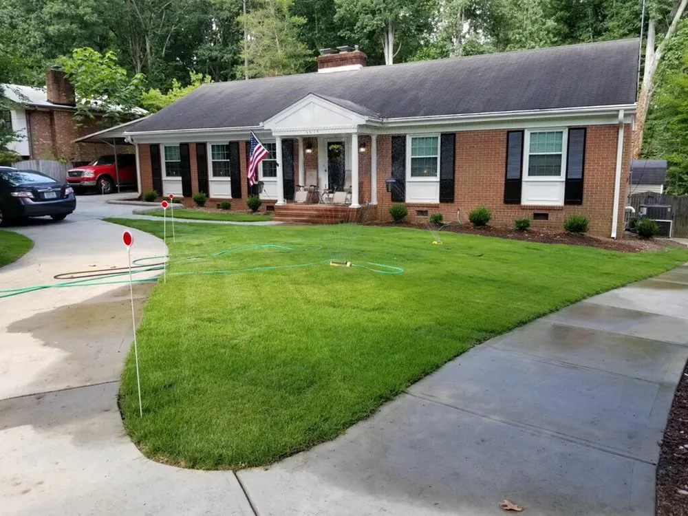 Trusted yard cleanup service in Raleigh, NC - Green Machine