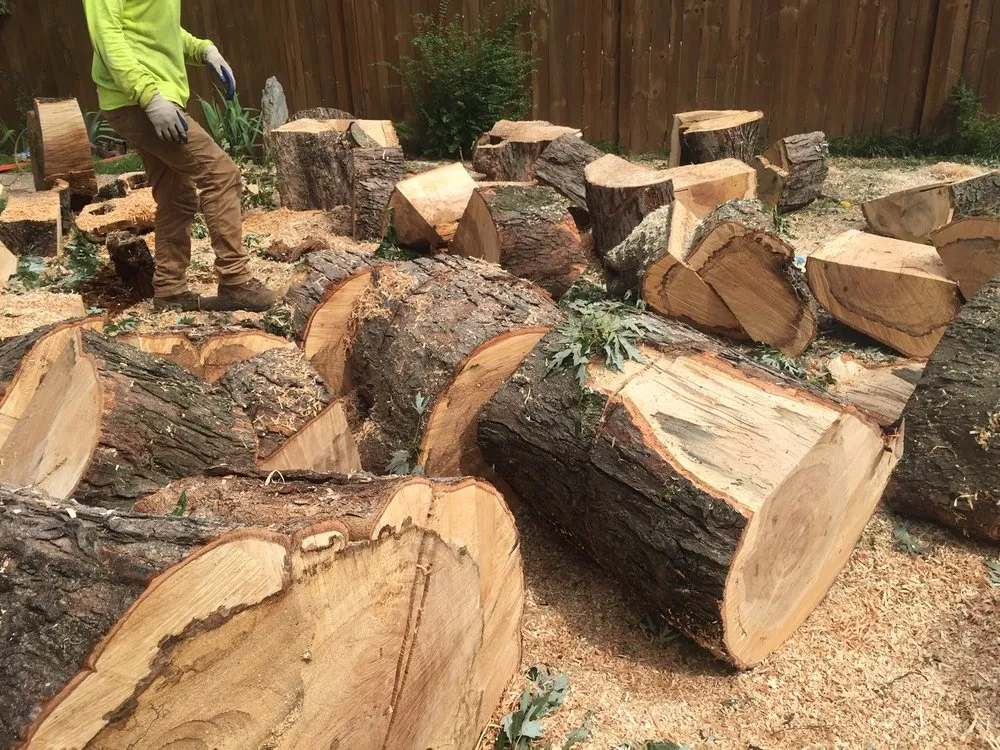 Top-rated lawn mowing service experts serving Raleigh, NC - Green Machine