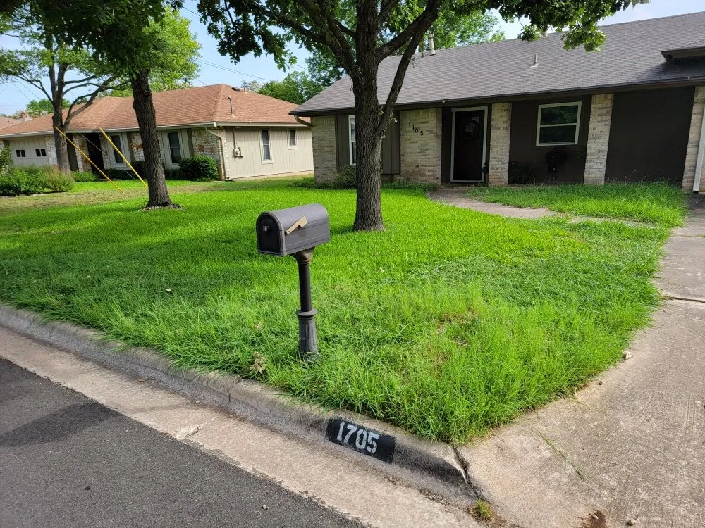 Affordable yard cleanup service experts serving Georgetown, TX - Green Machines Lawn Care