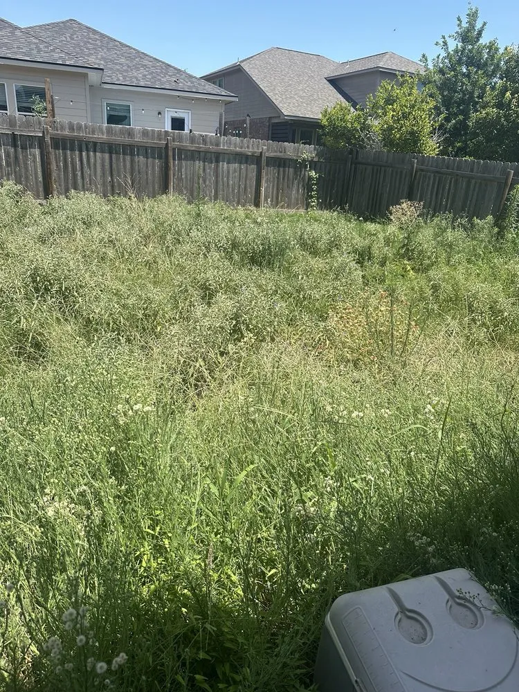 Top-rated residential landscaping in Georgetown, TX - Green Machines Lawn Care