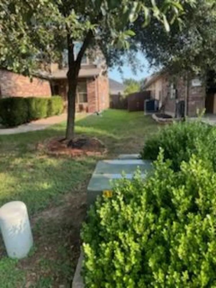 Top-rated garden landscaping in Georgetown, TX by Green Machines Lawn Care