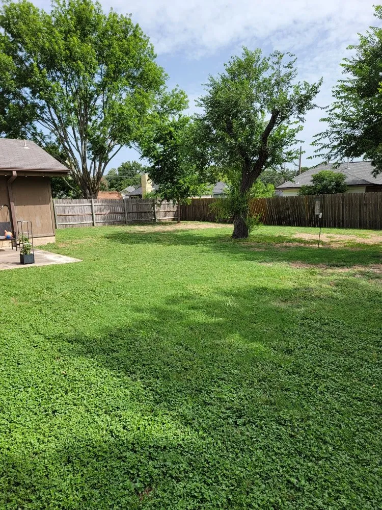 Trusted residential landscaping with custom design in Georgetown, TX by Green Machines Lawn Care