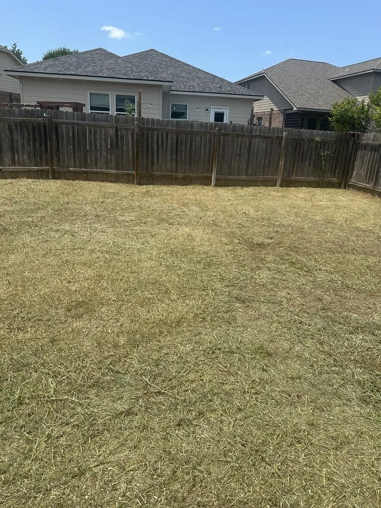 Top-rated landscaping services experts serving Georgetown, TX - Green Machines Lawn Care