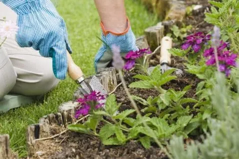 Top-rated landscape design for homes across Dyer, IN - Green Magic Landscape