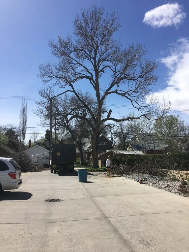 Local lawn mowing service in Billings, MT - Green Magic Lawn and Landscape