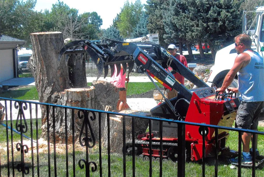 Trusted garden landscaping for beautiful yards across Billings, MT - Green Magic Lawn and Landscape