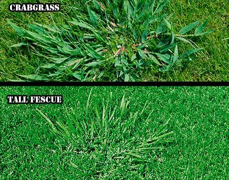Professional lawn care service for year-round maintenance across Billings, MT - Green Magic Lawn and Landscape