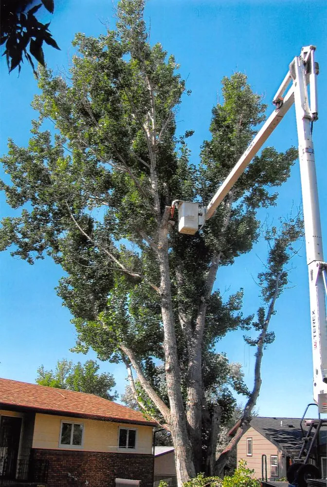 Expert outdoor landscaping in Billings, MT by Green Magic Lawn and Landscape