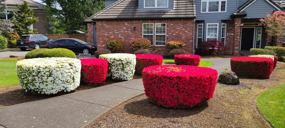 Top-rated landscape installation for year-round maintenance across Vancouver, WA - Green Magic Lawn Care Services