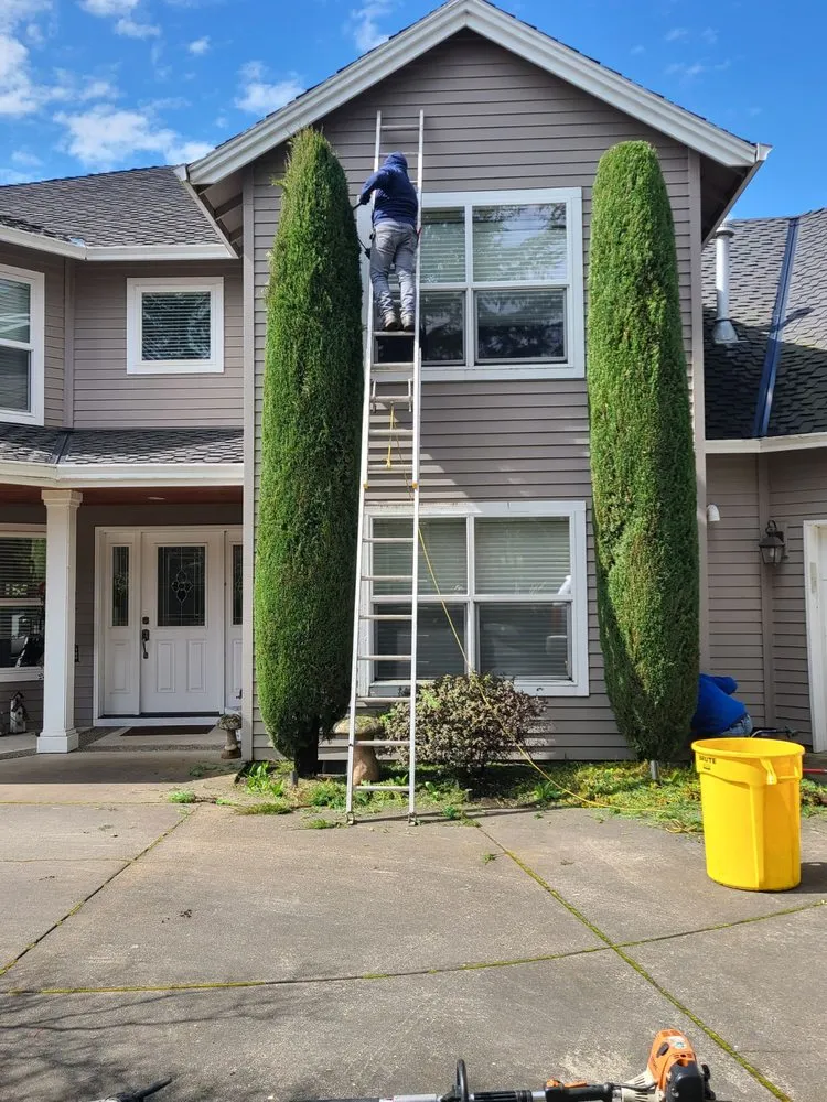 Local landscape installation in Vancouver, WA by Green Magic Lawn Care Services