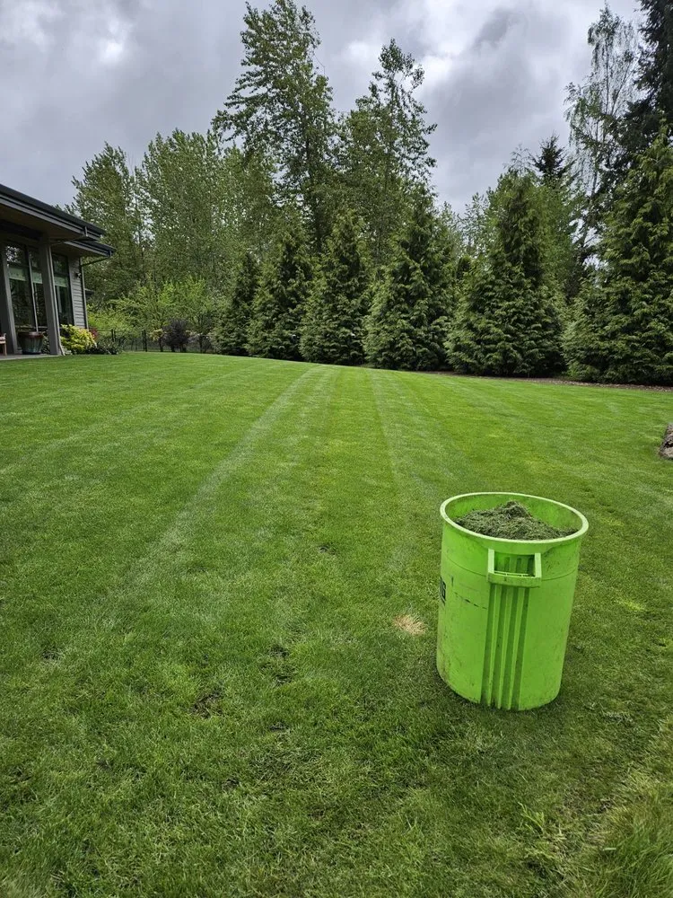 Expert yard maintenance in Vancouver, WA - Green Magic Lawn Care Services