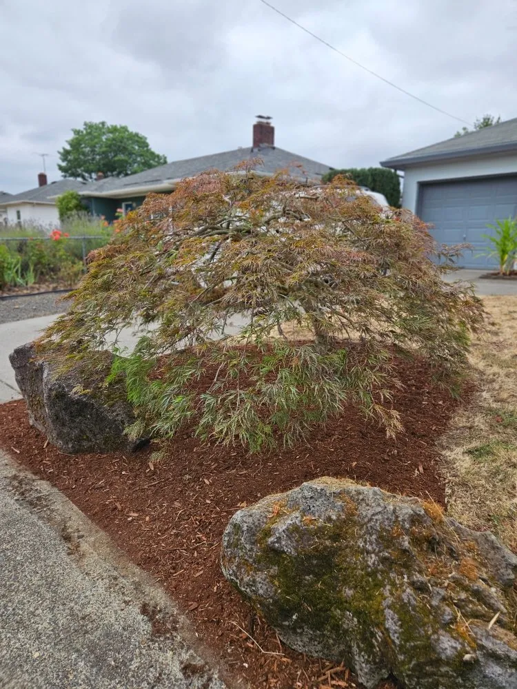 Trusted lawn care service in Vancouver, WA by Green Magic Lawn Care Services