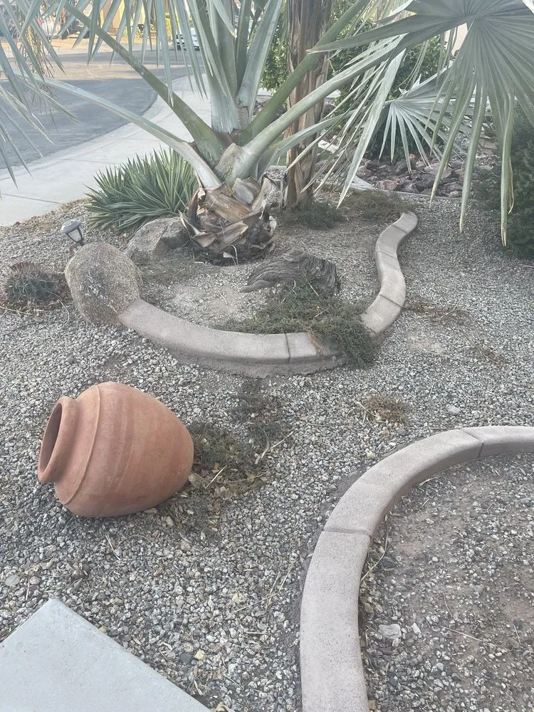 Local landscape design in Gilbert, AZ - Green Magic Lawn Services