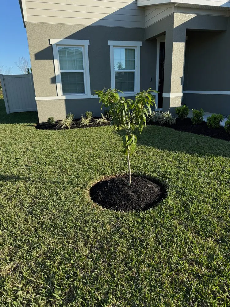 Professional residential landscaping in Land O' Lakes, FL - Green Magnolia Lawn Services
