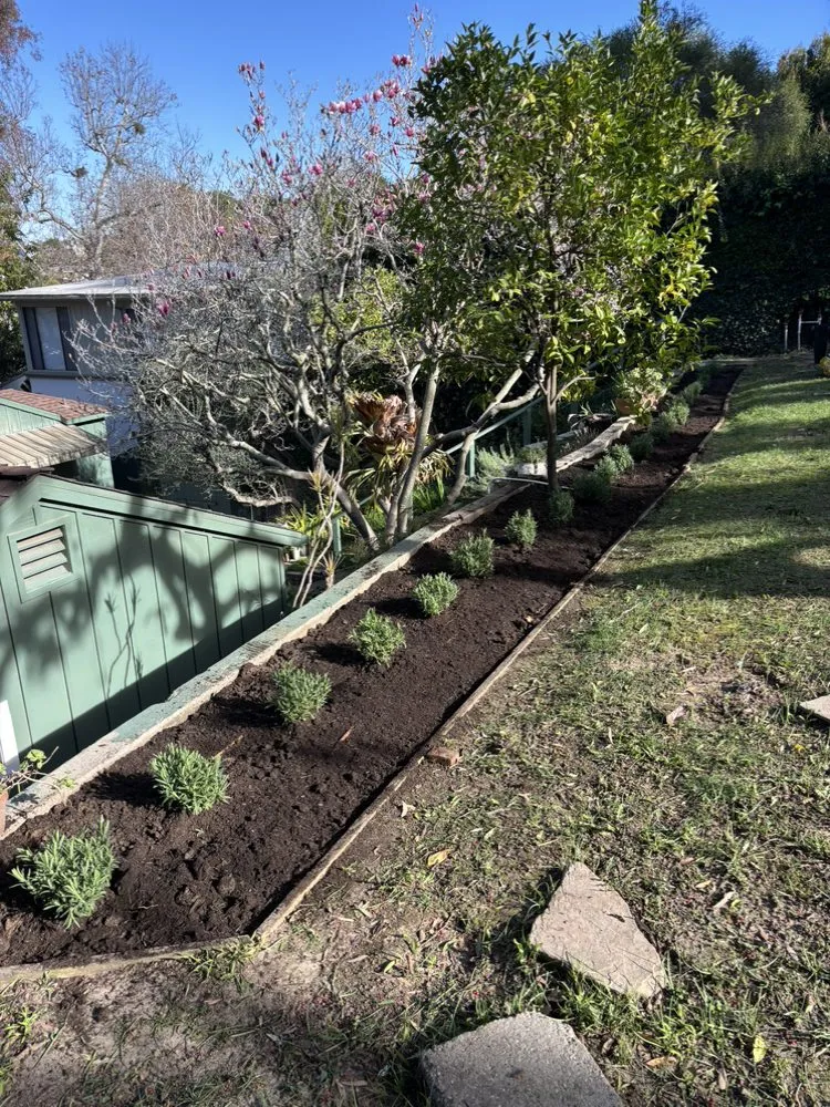 Affordable landscape design experts serving Los Angeles, CA - Green Maintenance Landscape and Tree Trimming Service