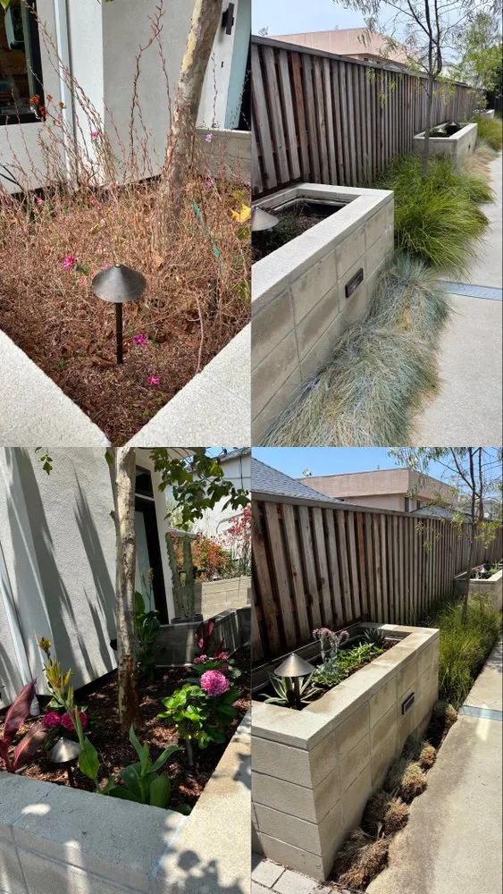Reliable yard maintenance for homes in Los Angeles, CA by Green Maintenance Landscape and Tree Trimming Service
