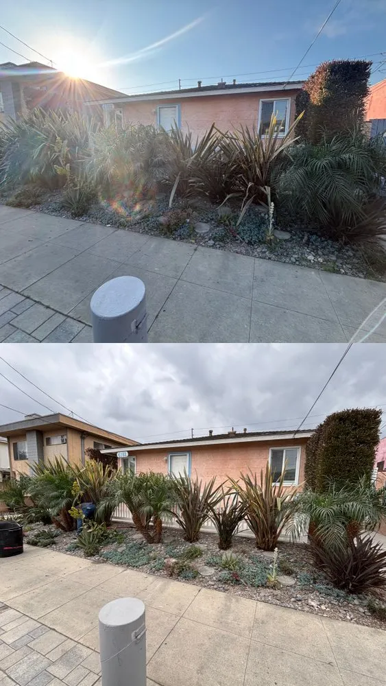 Top-rated garden landscaping with custom design across Los Angeles, CA - Green Maintenance Landscape and Tree Trimming Service