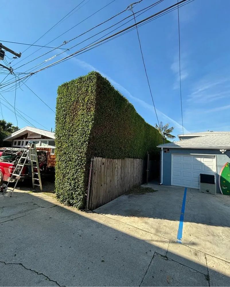 Custom lawn mowing service for beautiful yards in Los Angeles, CA by Green Maintenance Landscape and Tree Trimming Service