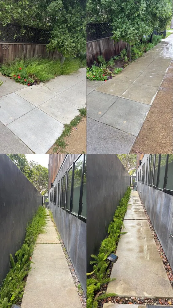 Custom yard cleanup service in Los Angeles, CA by Green Maintenance Landscape and Tree Trimming Service