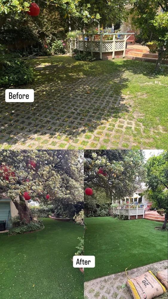 Affordable yard maintenance for outdoor upgrades in Los Angeles, CA by Green Maintenance Landscape and Tree Trimming Service