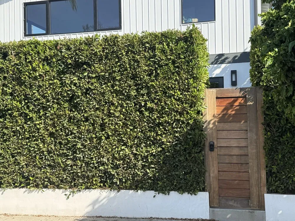 Affordable landscaping services in Los Angeles, CA by Green Maintenance Landscape and Tree Trimming Service