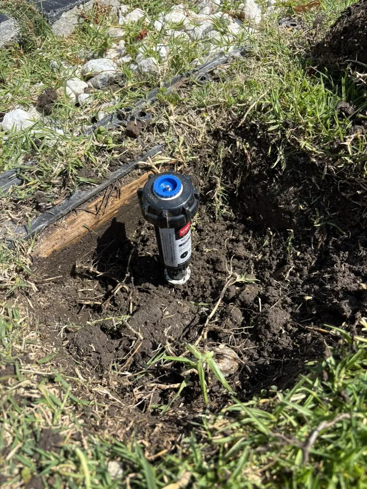 Professional lawn care service in Los Angeles, CA - Green Maintenance Landscape and Tree Trimming Service