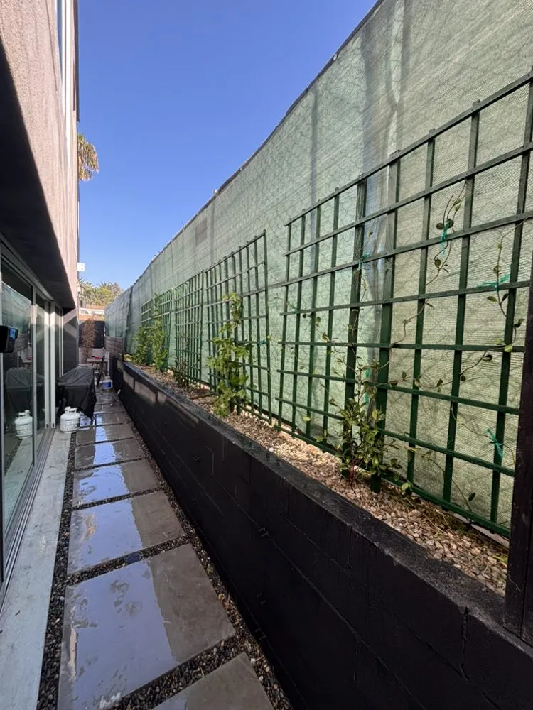 Professional outdoor landscaping for year-round maintenance across Los Angeles, CA - Green Maintenance Landscape and Tree Trimming Service